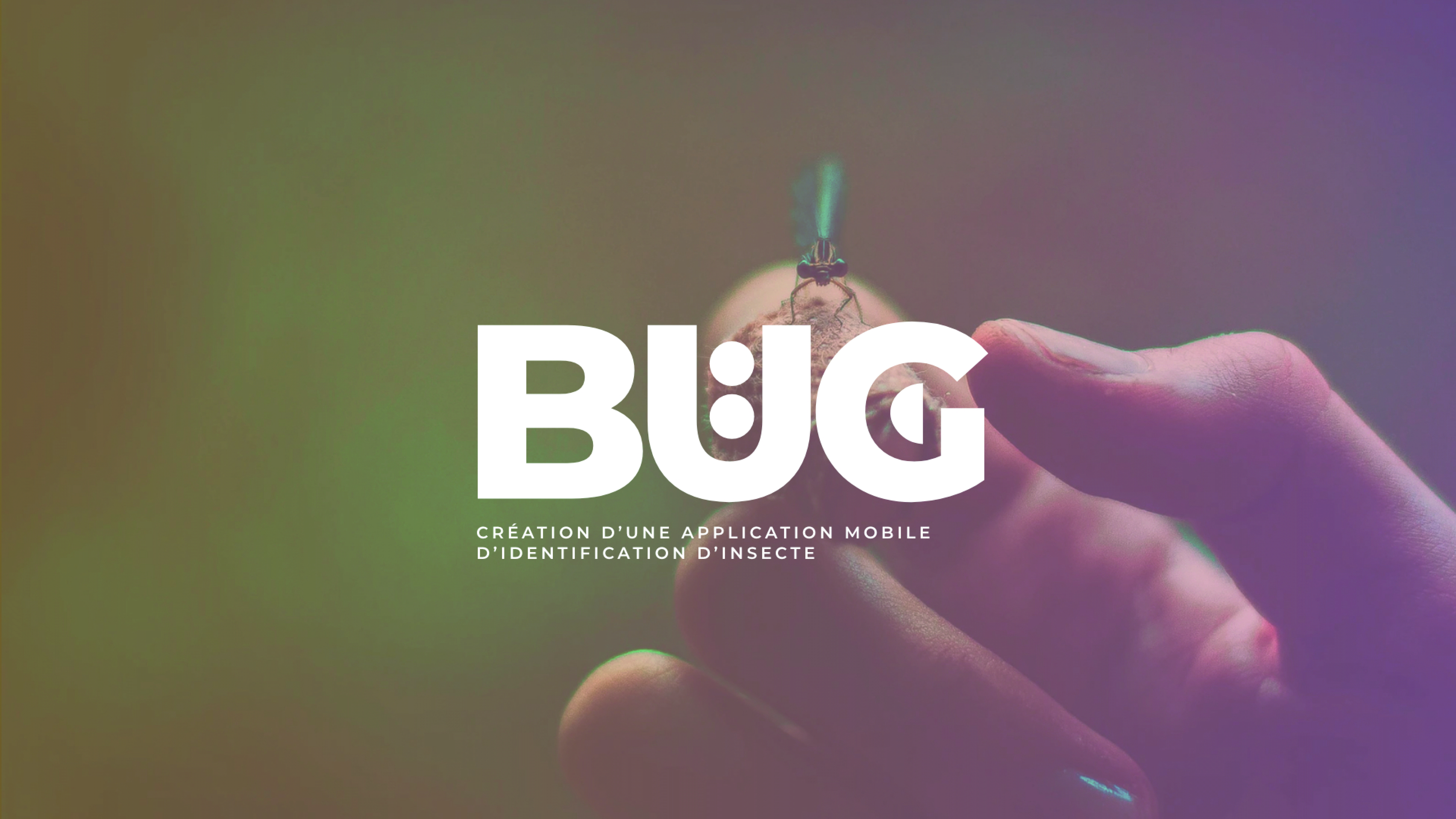Écran Application Bug 1