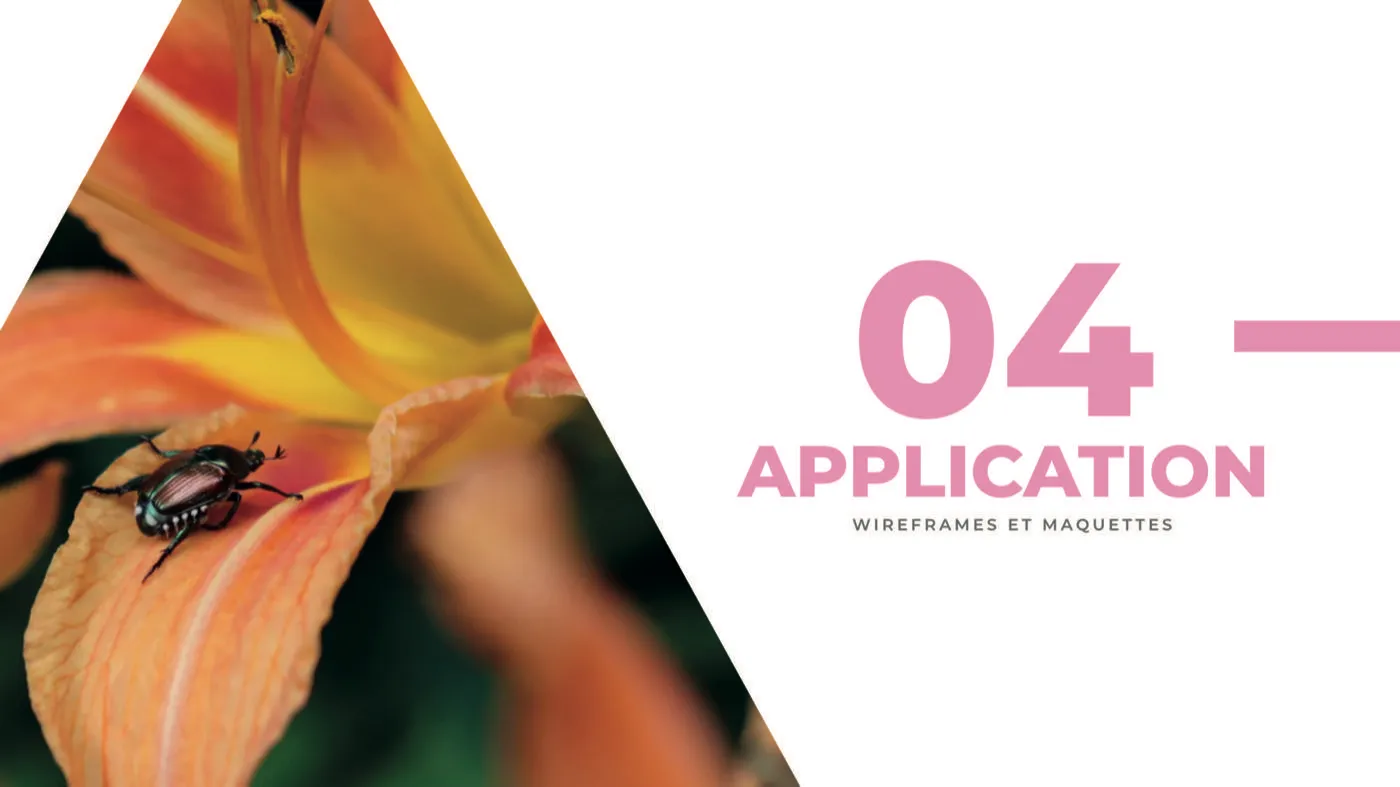 Écran Application Bug 21