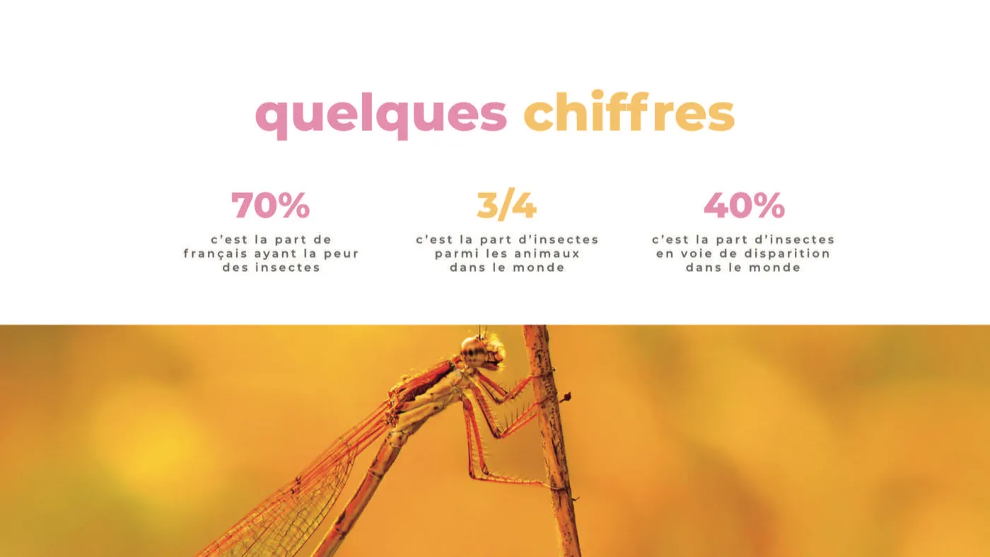 Écran Application Bug 3