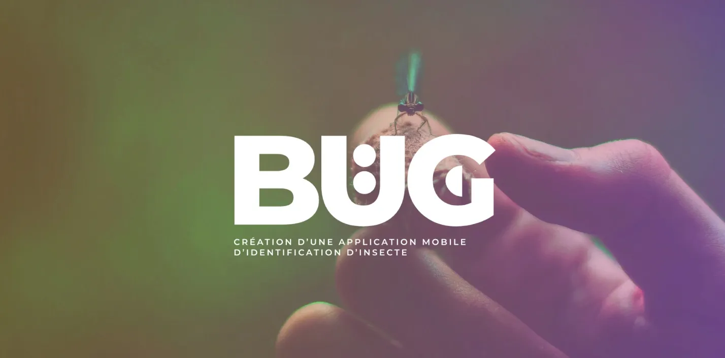 Miniature du projet Application Bug